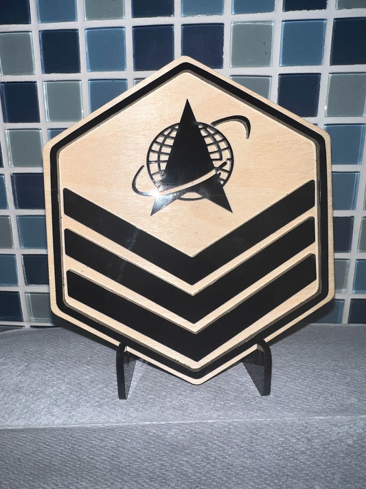 Space Force Promotion Gift - Wood with Acrylic Rank Momento - Includes stand